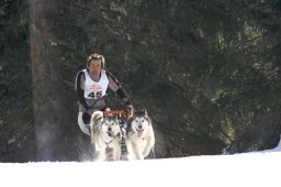San Bernardino 2008